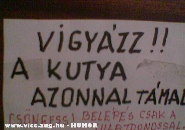 A kutya azonnal támad A kutya azonnal támad
