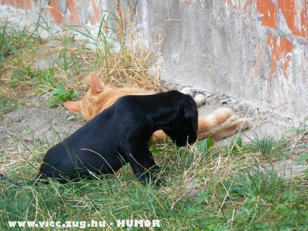 Nem sz�lok hozz�d !
