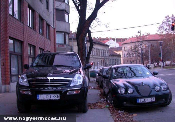 Egyedi rendsz�m
