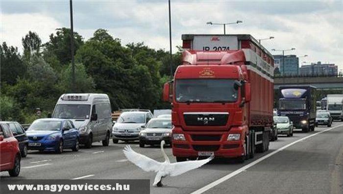 Forgalom akad�lyoz�sa